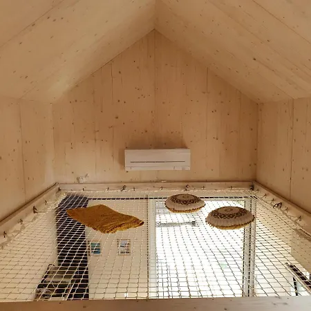 Tiny House Cosy 1 - *