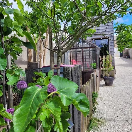 Tiny House Cosy 1 - Διαμέρισμα *