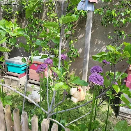 Διαμέρισμα Tiny House Cosy 1 - *