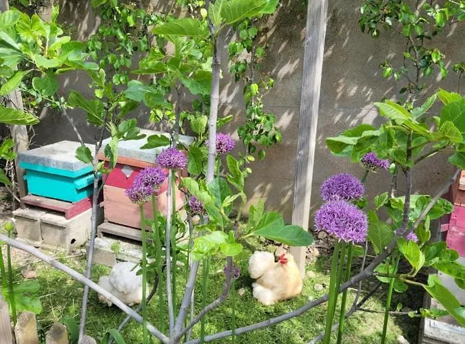 Appartamento Tiny House Cosy 1 - *